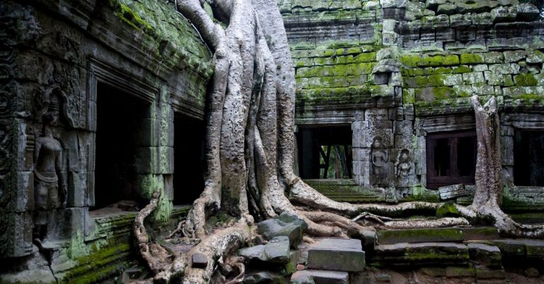 How Misinformation on ‘Book Twitter’ Killed a Literary NFT Project