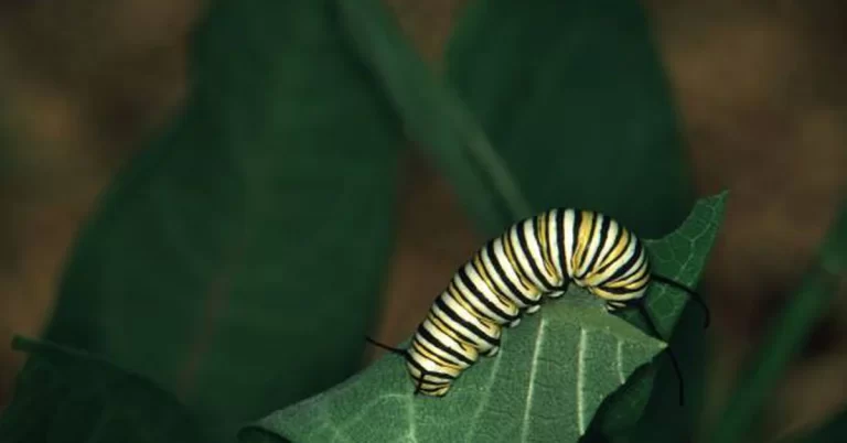 First Mover Asia: Cryptos Inch Downward in Light Trading