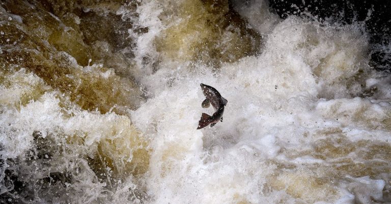 Convex Finance Bug Causes CVX Token to Sink on Forced Token Unlock