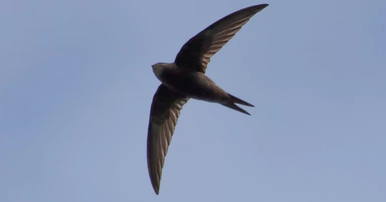 EU Excludes 7 Russian Banks from SWIFT